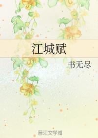 江城赋封面