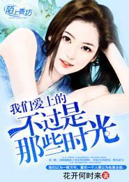 我们爱上的不过是那些时光封面