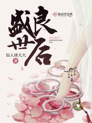 盛世良后封面