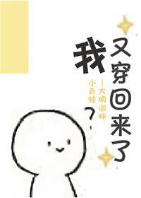 我又穿回来了封面