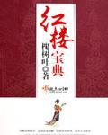 红楼宝典封面