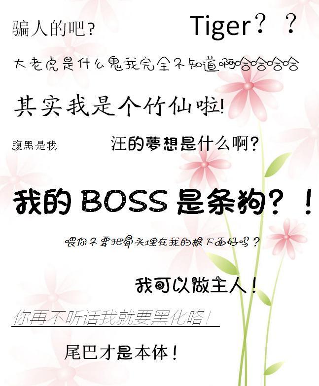 我的BOSS是条狗封面