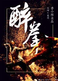 醉拳封面