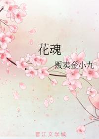 花魂封面