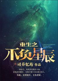 重生之不负星辰封面