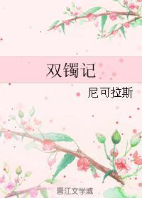 双镯记封面