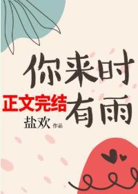 你来时有雨封面