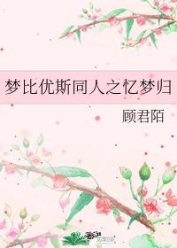 梦比优斯同人之忆梦归封面