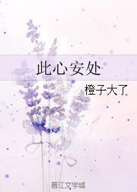 此心安处封面