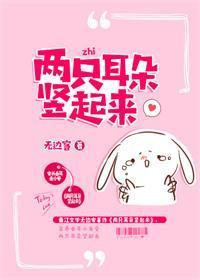 两只耳朵竖起来封面