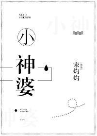 他的小神婆封面