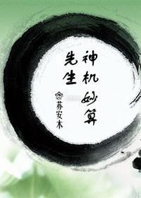 先生神机妙算封面