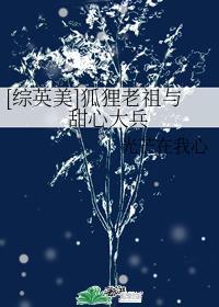 [综英美]狐貍老祖与甜心大兵封面