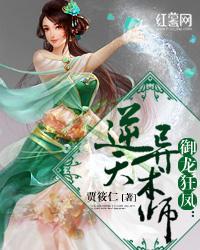御龙狂凤：逆天异术师封面