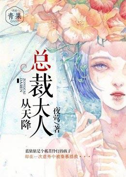 总裁大人从天降封面
