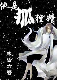 言狐封面