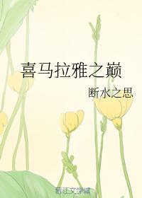 喜马拉雅之巅封面