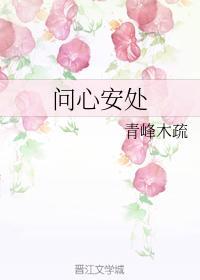 问心安处封面