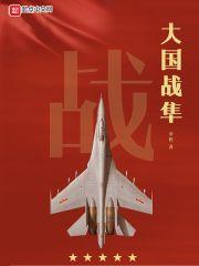 大国战隼封面