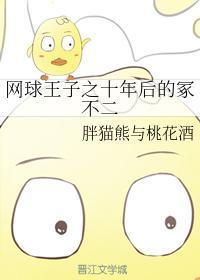 网球王子之十年后的冢不二封面
