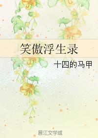 笑傲浮生录封面