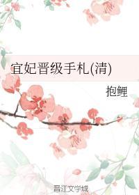 宜妃晋级手札（清）封面