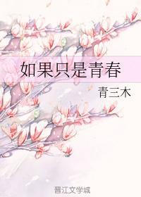 如果只是青春封面