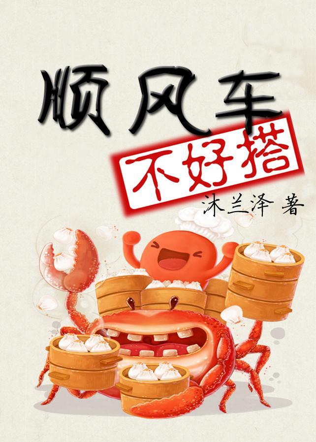 顺风车封面