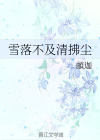 雪落不及清拂尘封面
