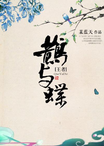[王者荣耀]鹊与蝶封面