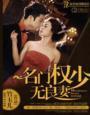名门权少无良妻封面