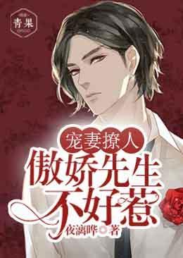 宠妻撩人：傲娇先生不好惹封面