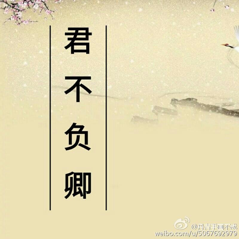 君不负卿封面