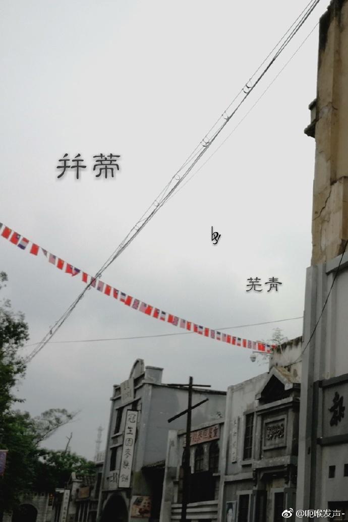 并蒂封面