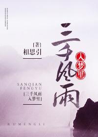 三千风雨入梦里封面