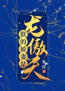 朕的娇妻是龙傲天（女穿男）封面