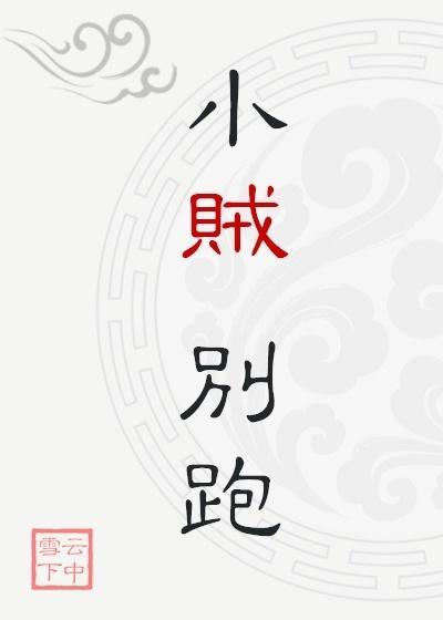 小贼，别跑封面