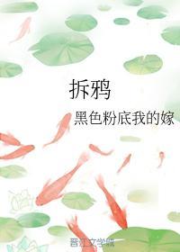 拆鸦封面