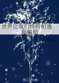 世界让我们终将相遇 超蝙超封面