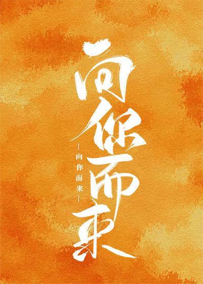 向你而来封面