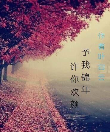 予我锦年，许你欢颜封面