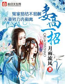 妻高一招封面
