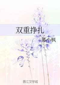 双重挣扎封面