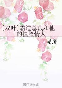 [双叶]霸道总裁和他的撞脸情人封面