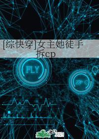 [综快穿]女主她徒手拆cp封面