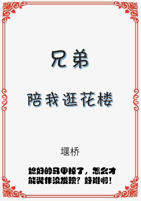 兄弟陪我逛花楼封面