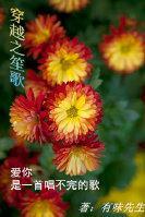 穿越之笙歌封面