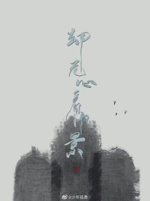 却无心看风景封面