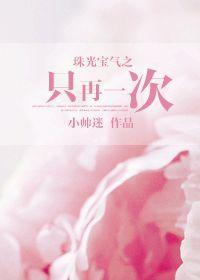 珠光宝气之只再一次封面