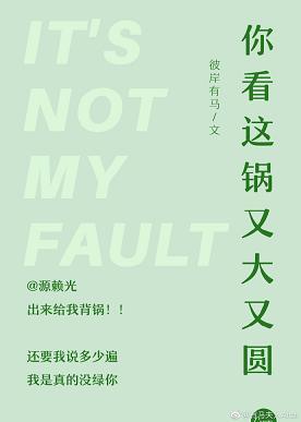 [综]你看这锅又大又圆封面